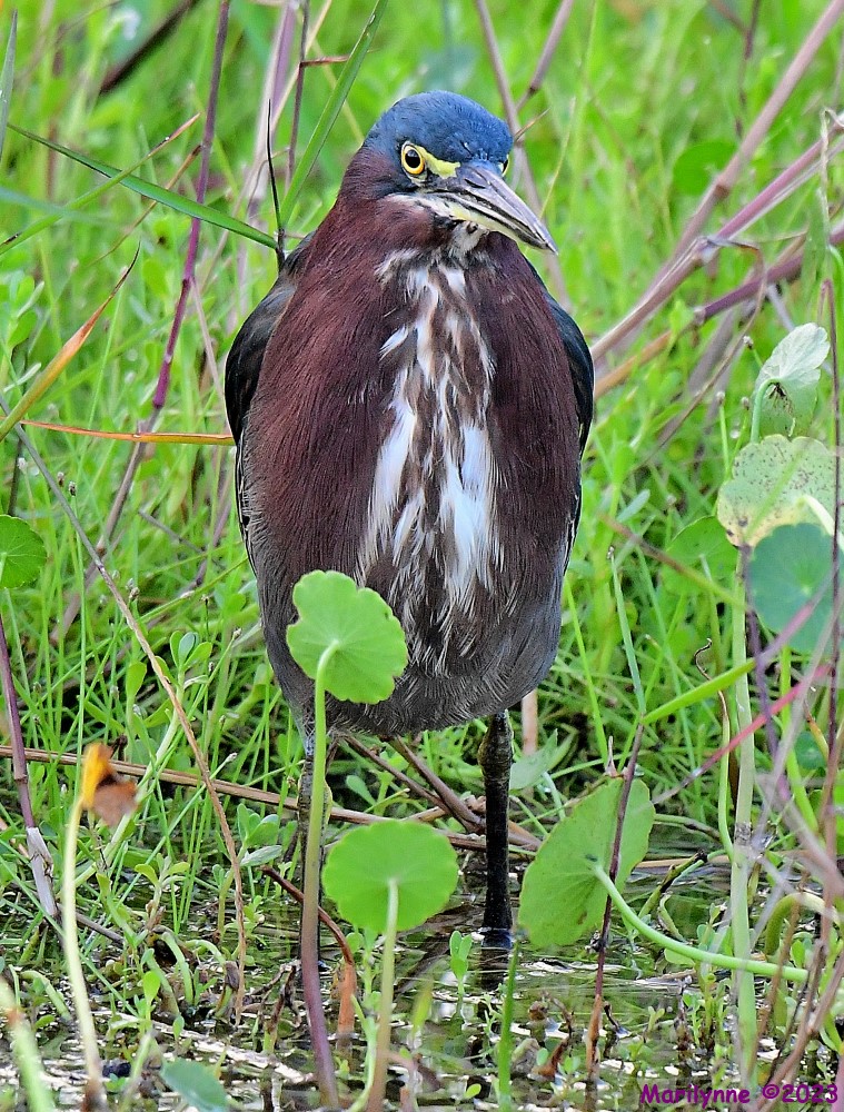 DSC_0047_001.JPG
