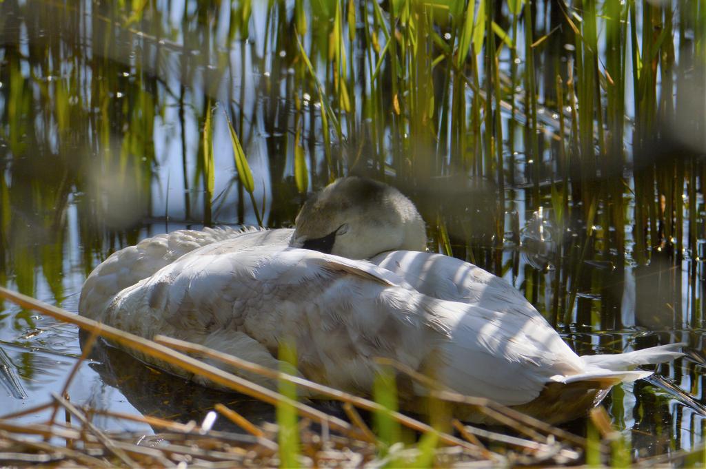 DSC_0048.jpg