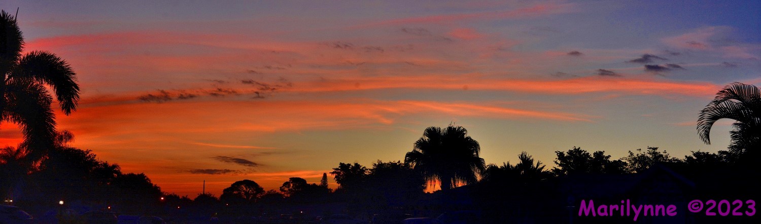 DSC_0050_stitch4_001.JPG