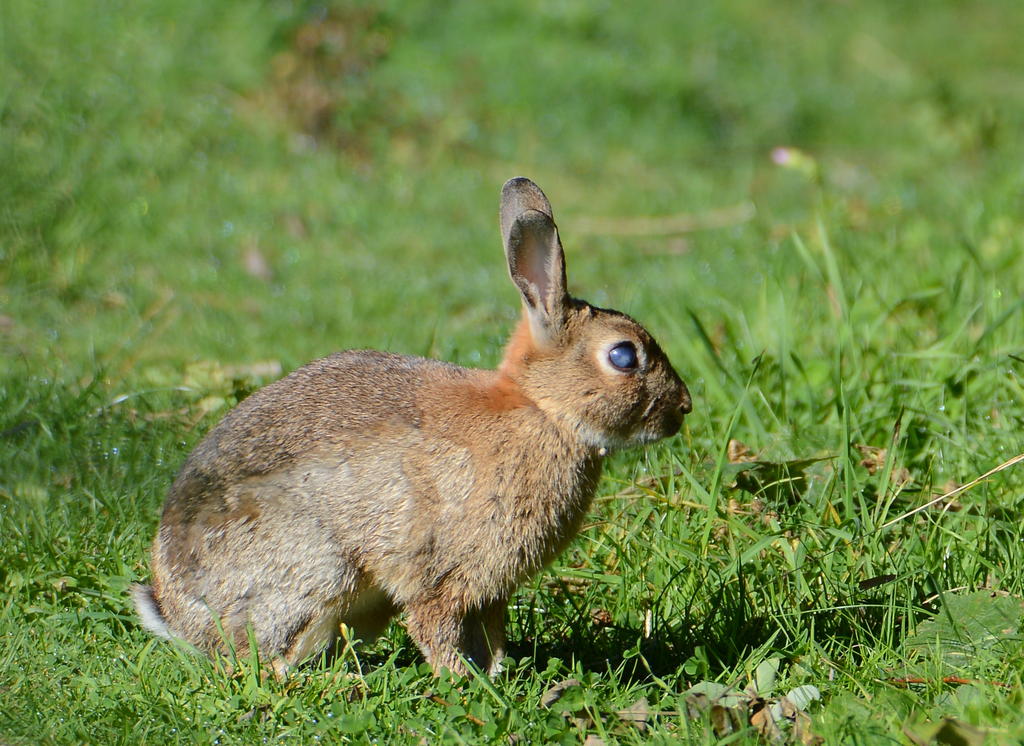 DSC_0051.jpg
