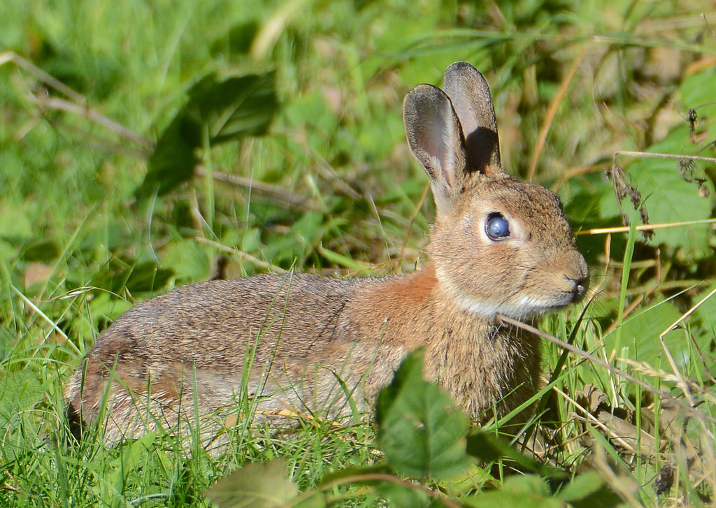 DSC_0055.jpg