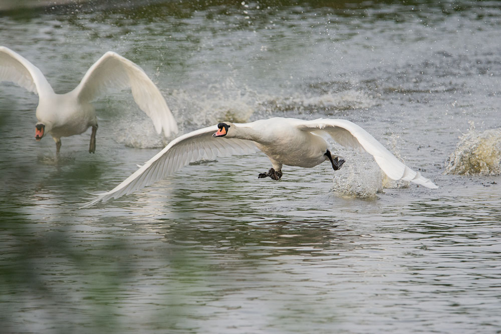 DSC_0056.jpg
