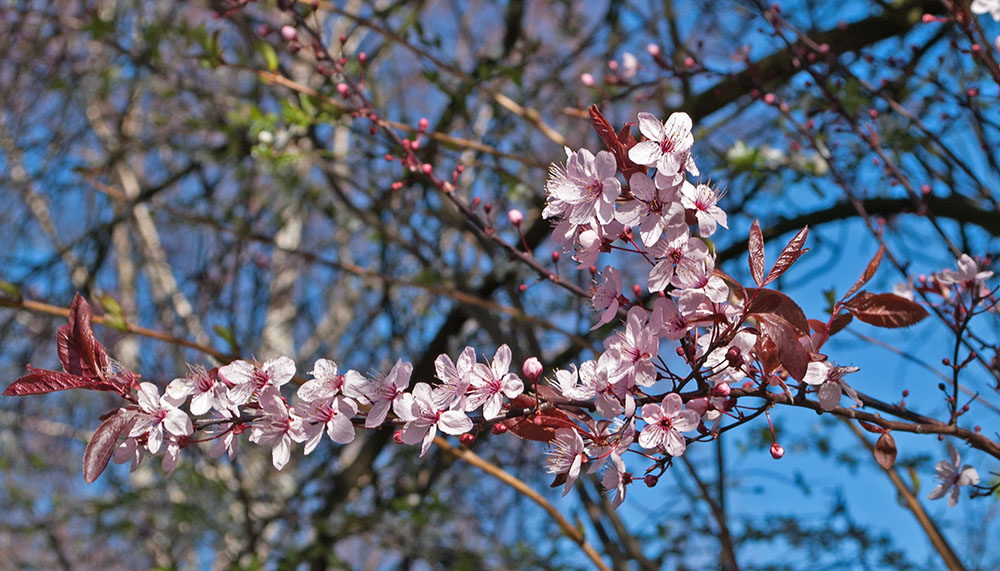 DSC_0058.jpg