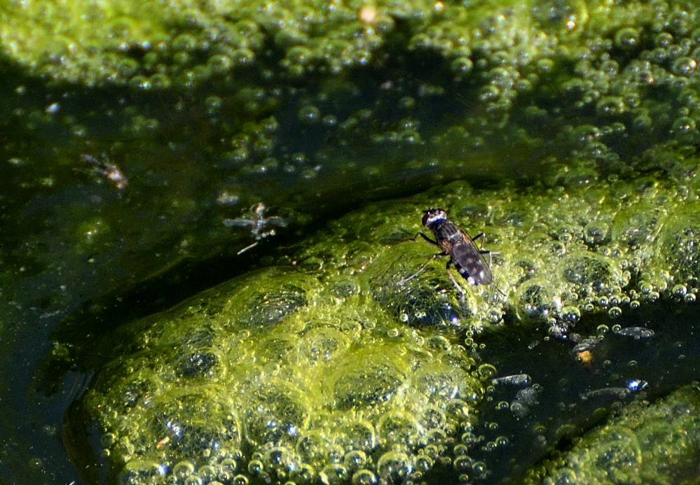 DSC_0058.JPG