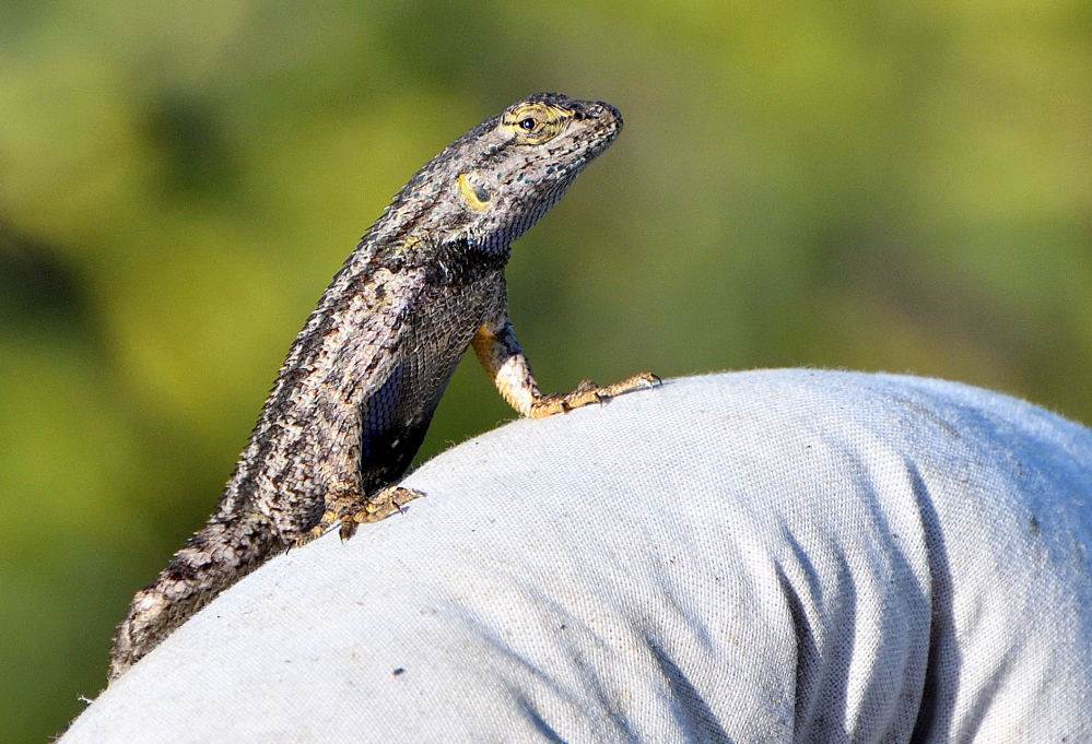 DSC_0063.JPG