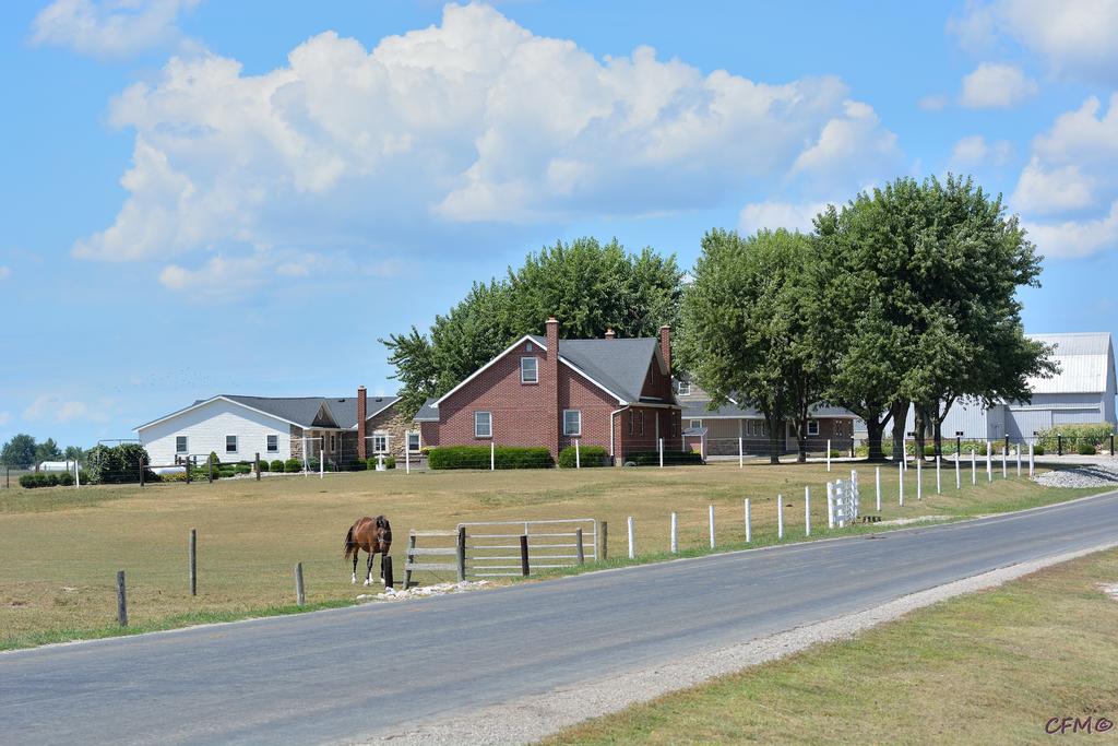 DSC_0064 nxd.jpg