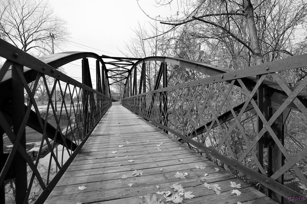 DSC_0066 nxd.jpg
