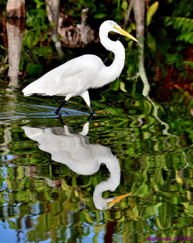 DSC_0066_001.JPG