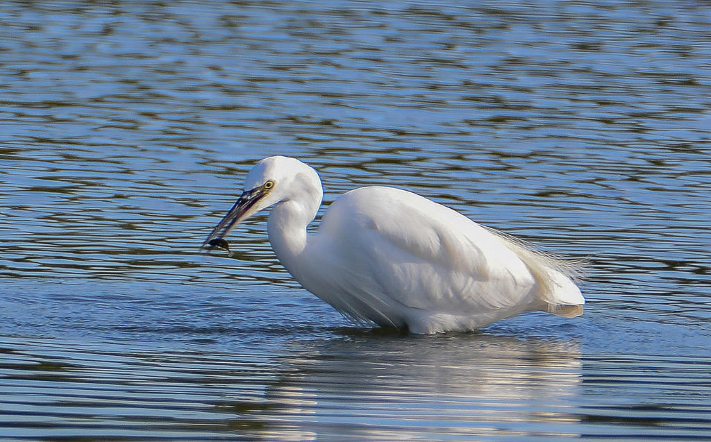 DSC_0067.jpg