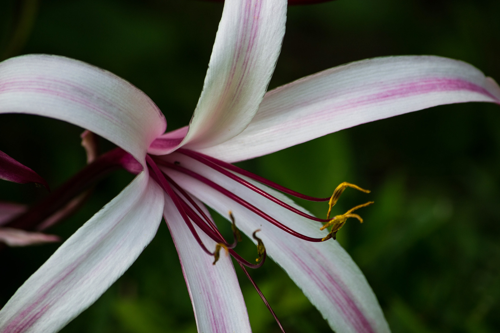 DSC_0067.jpg