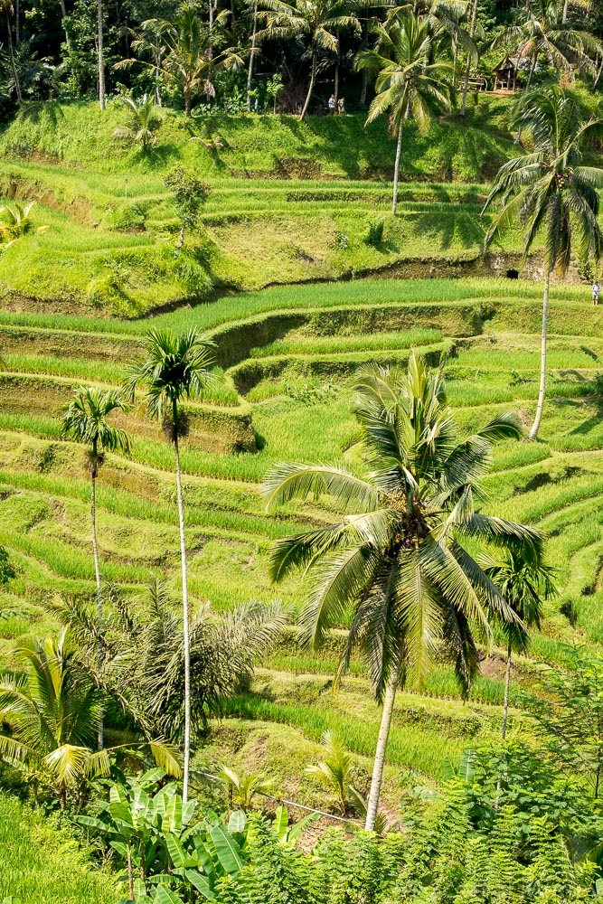 DSC_0067.jpg