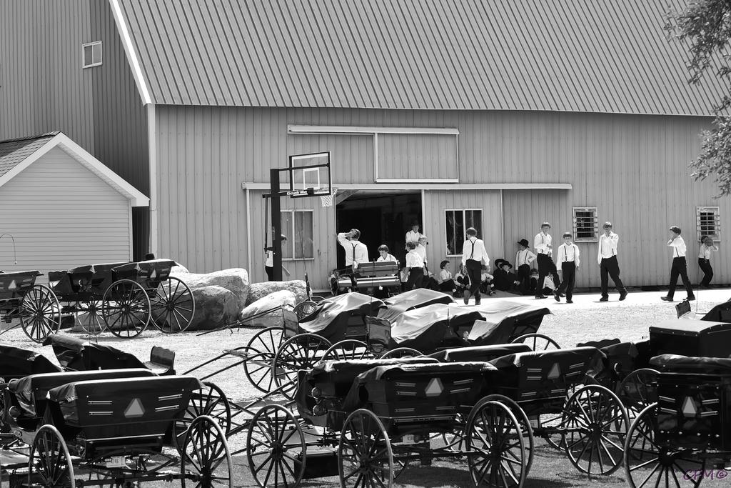 DSC_0068 nxd bw.jpg