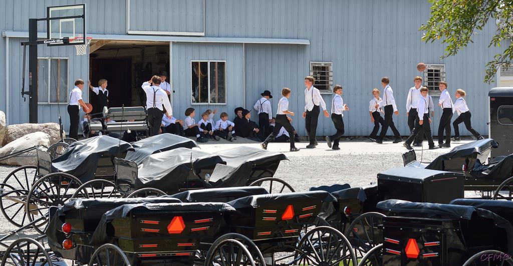 DSC_0069 nxd.jpg