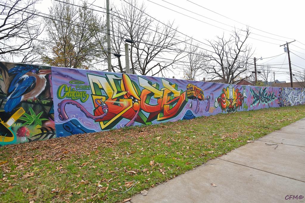 DSC_0070 nxd.jpg