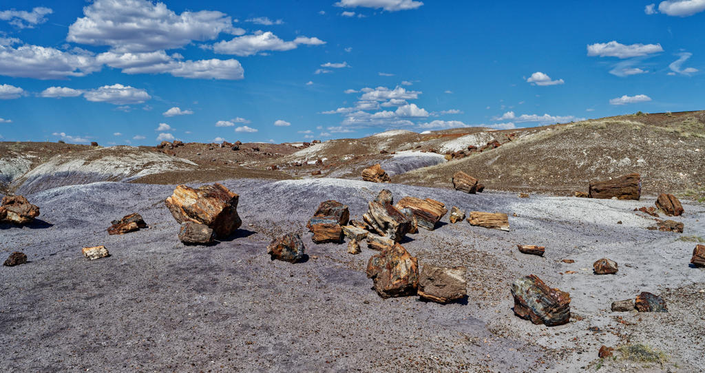 DSC_0070_DxO_1.jpg