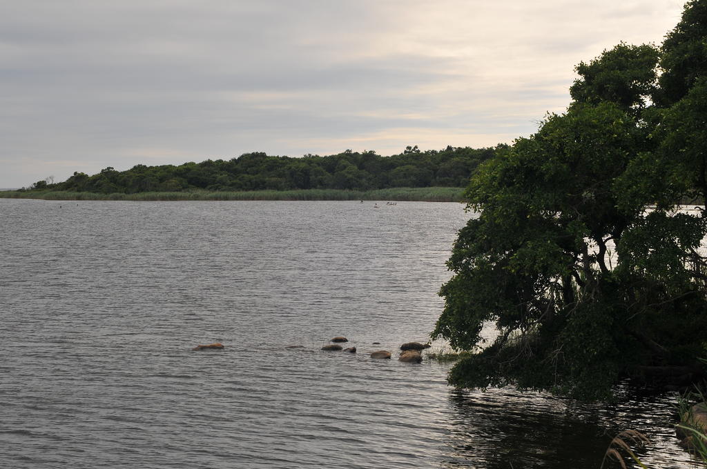 DSC_0071.jpg