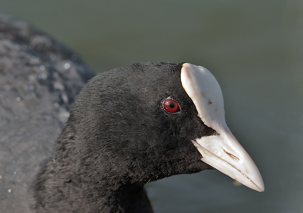DSC_0072.jpg