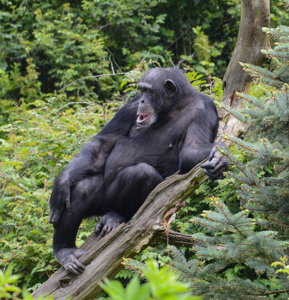 DSC_0075.jpg