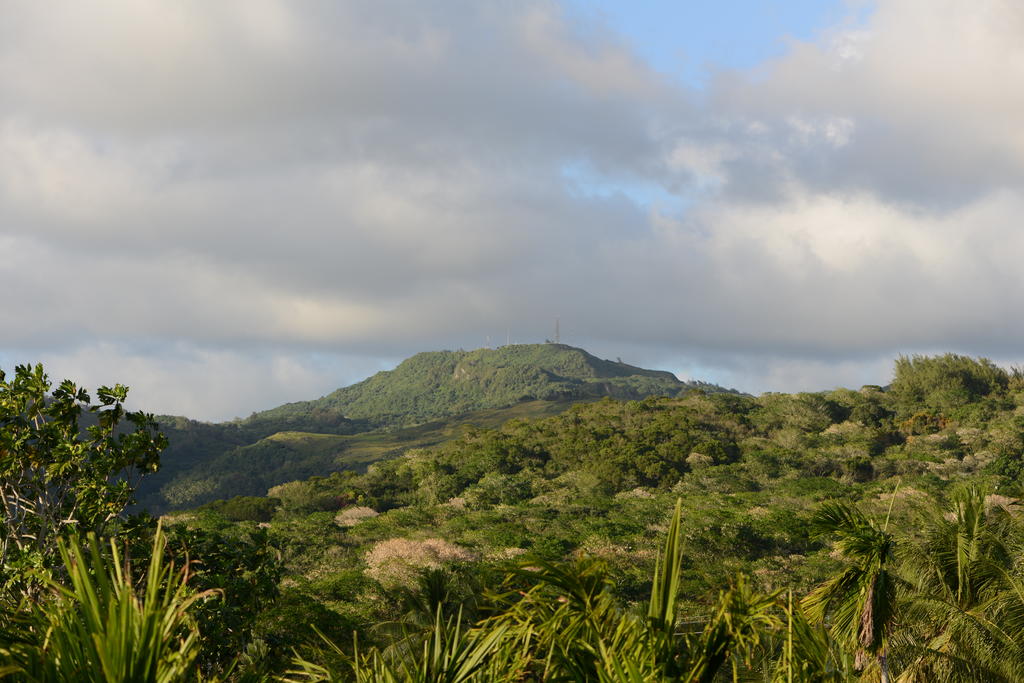 DSC_0075.jpg