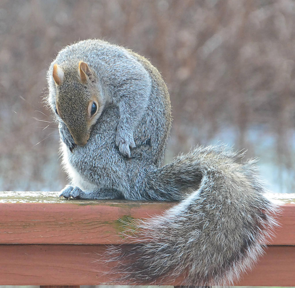 DSC_0076.jpg