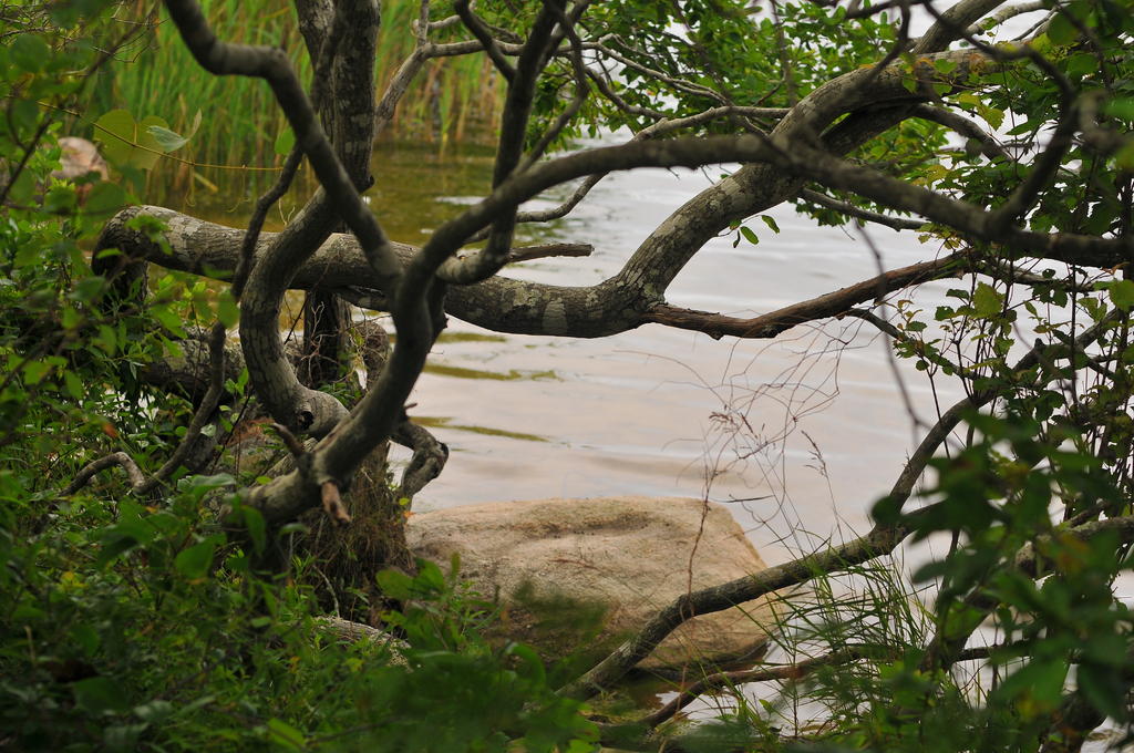 DSC_0077.jpg