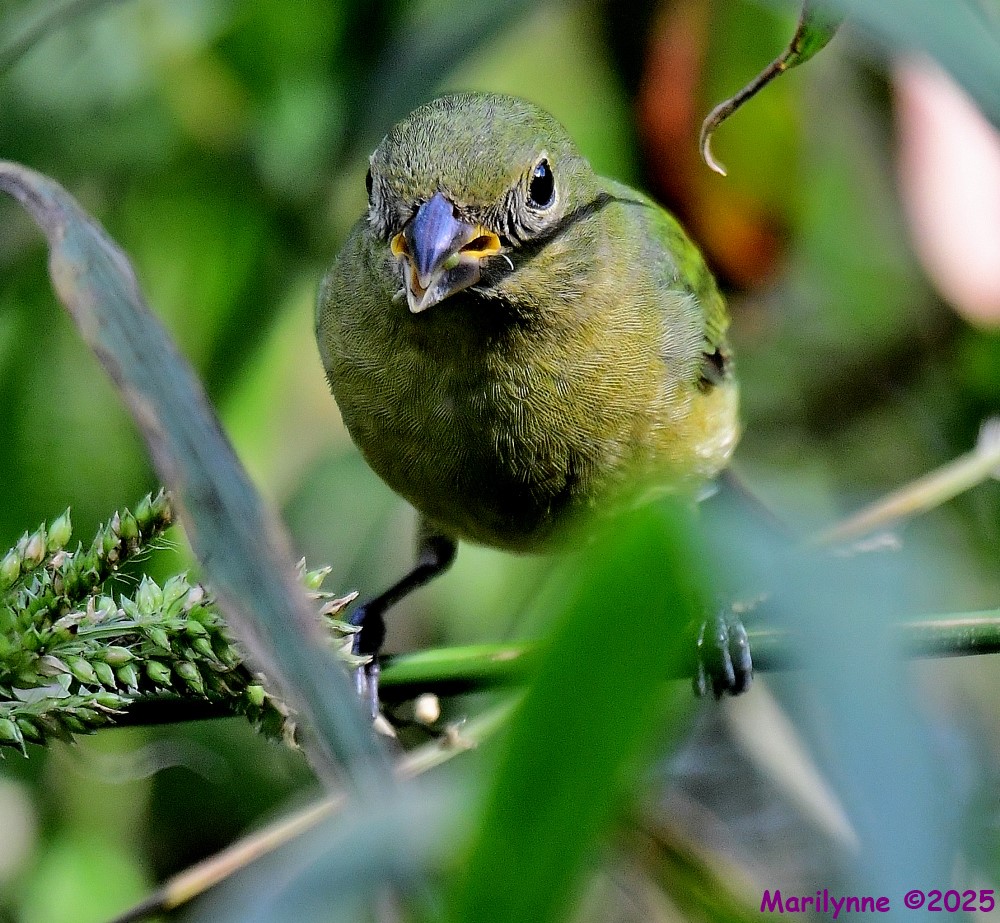 DSC_0077_001.JPG