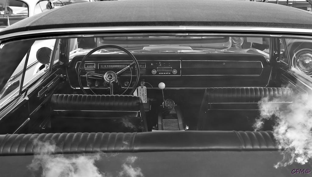 DSC_0078 nxd bw.jpg