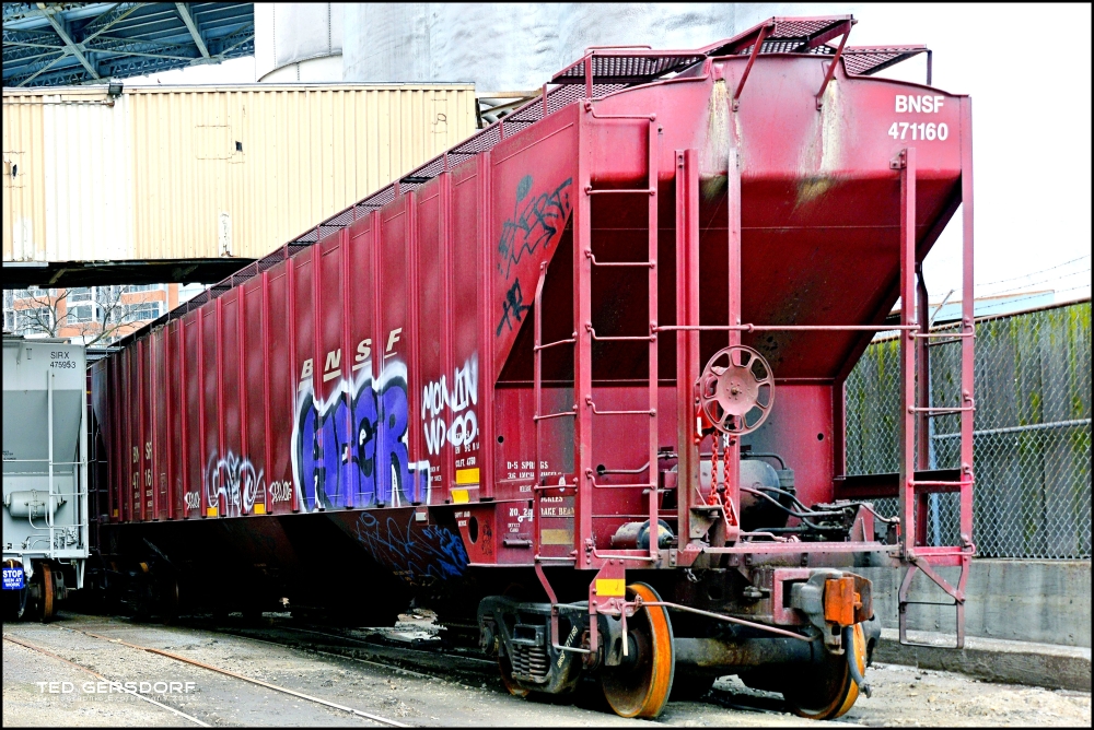 DSC_0080_309.JPG