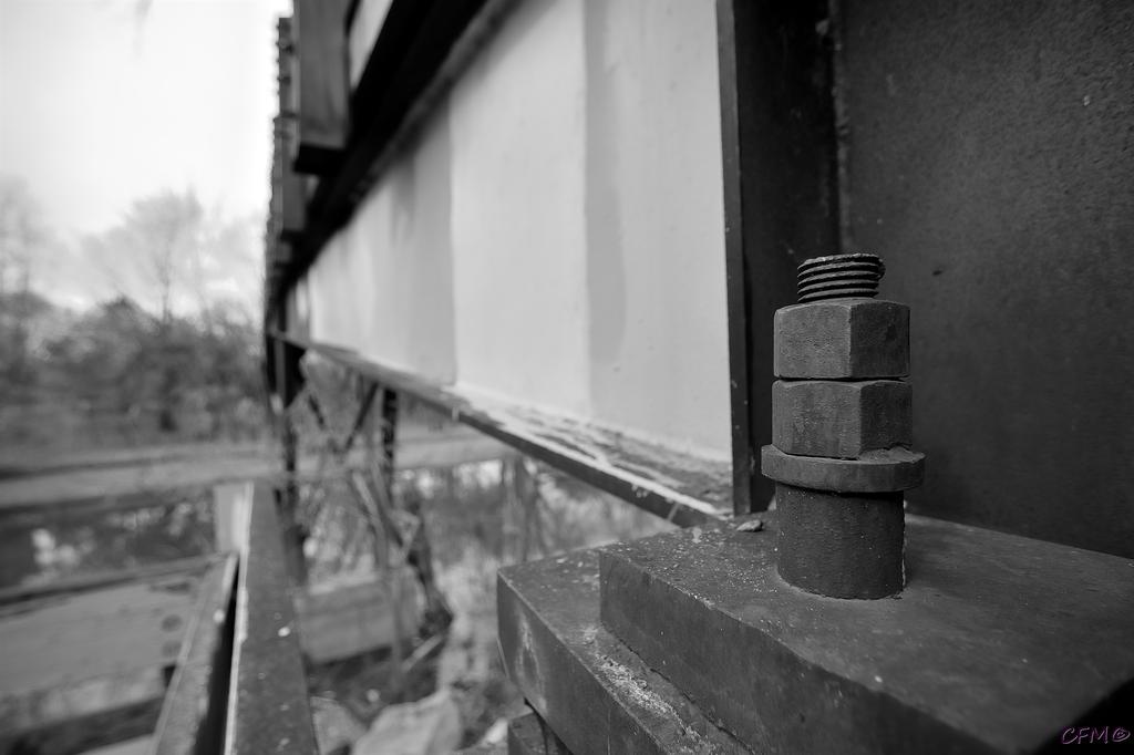 DSC_0087 nxd.jpg
