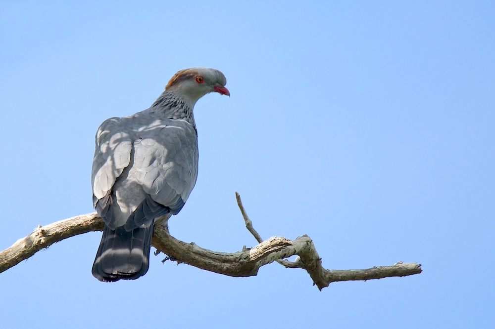 DSC_0089.jpg
