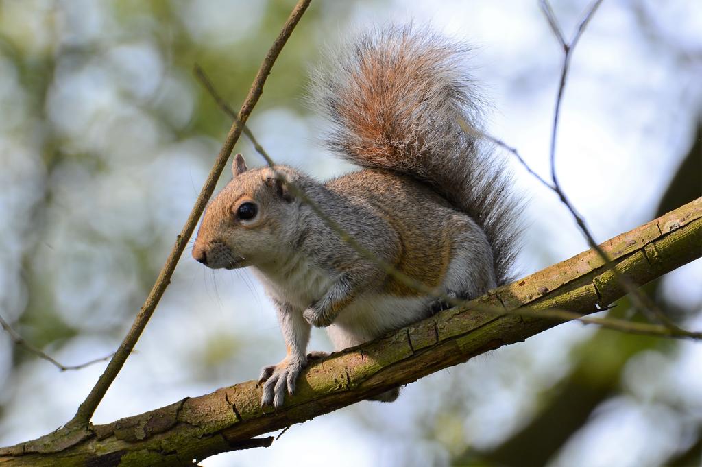 DSC_0091.jpg