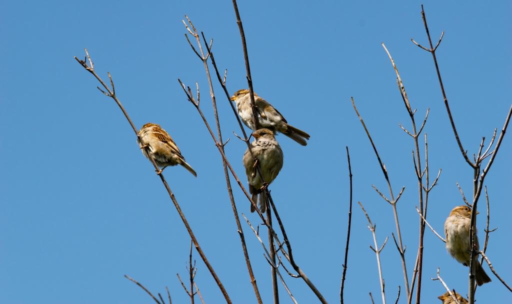 DSC_0092.jpg