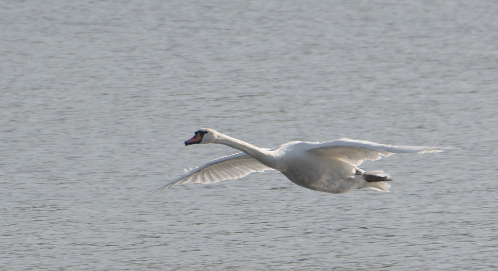 DSC_0095.jpg