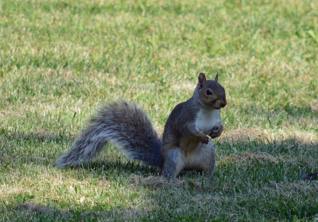 DSC_0097.jpg