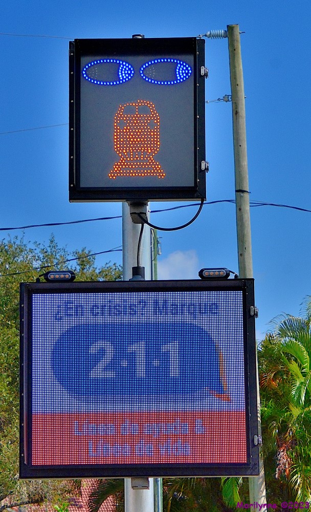 DSC_0098_001.JPG
