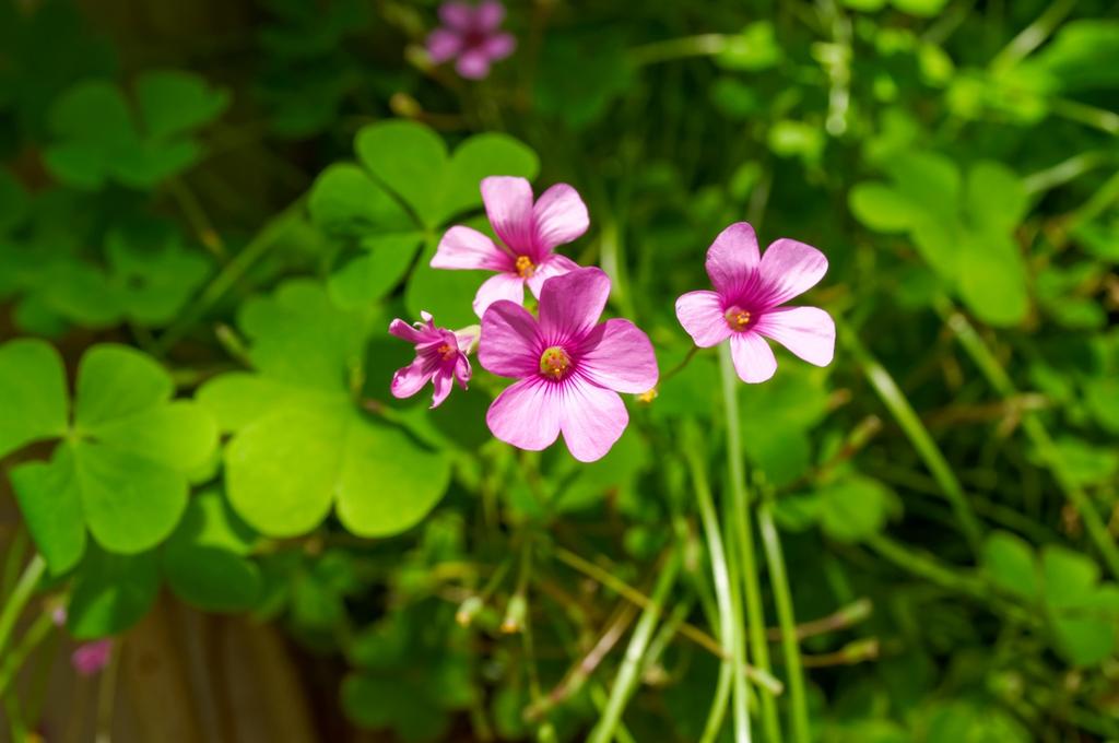 DSC_0098_DxO.jpg