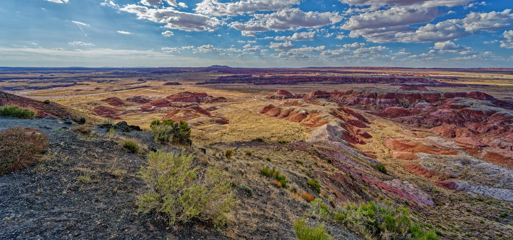 DSC_0100_DxO.jpg
