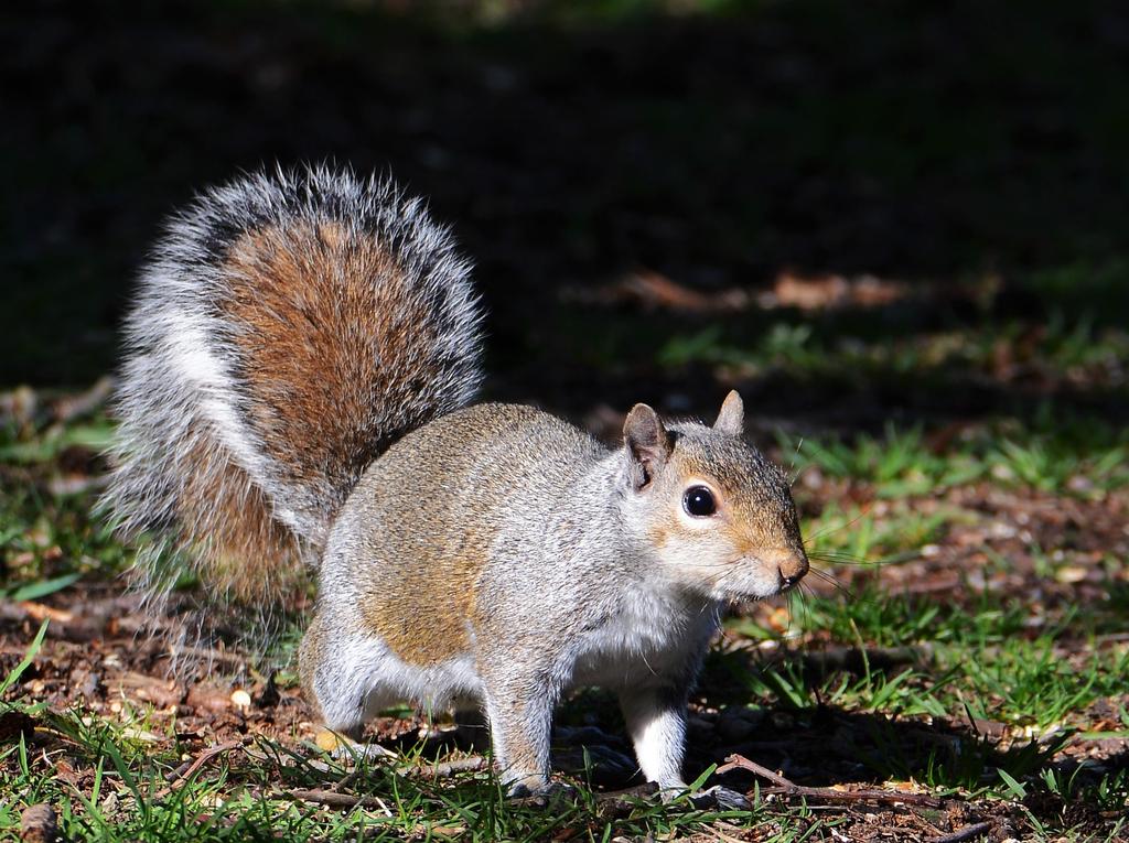 DSC_0101.jpg
