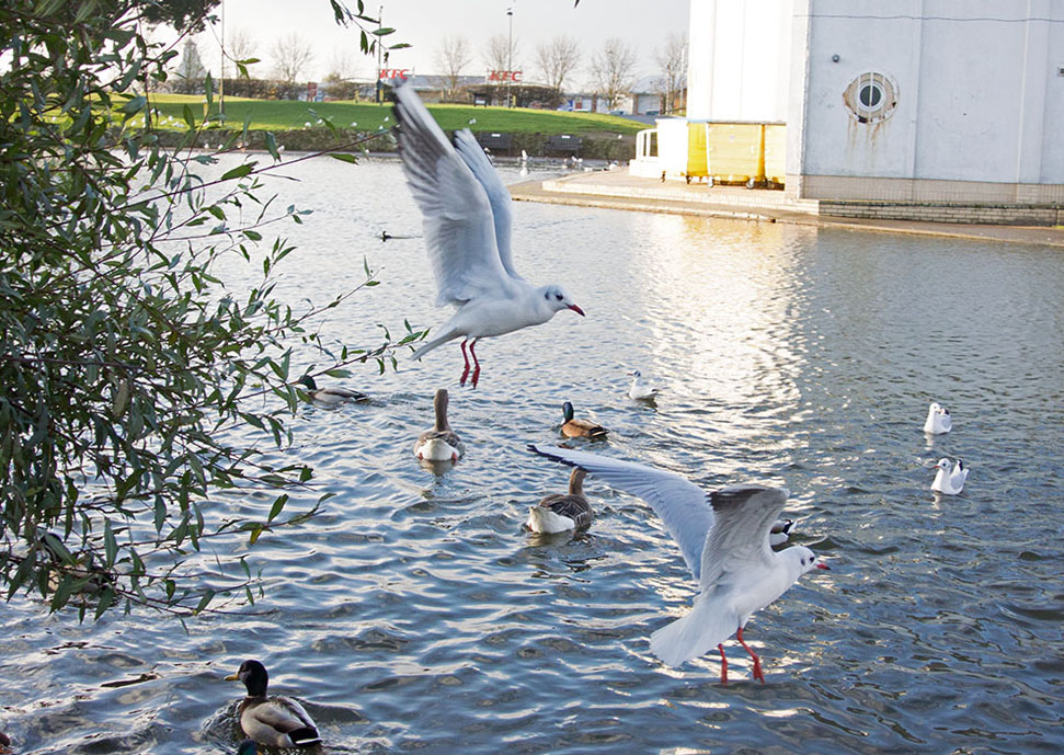 DSC_0103.jpg