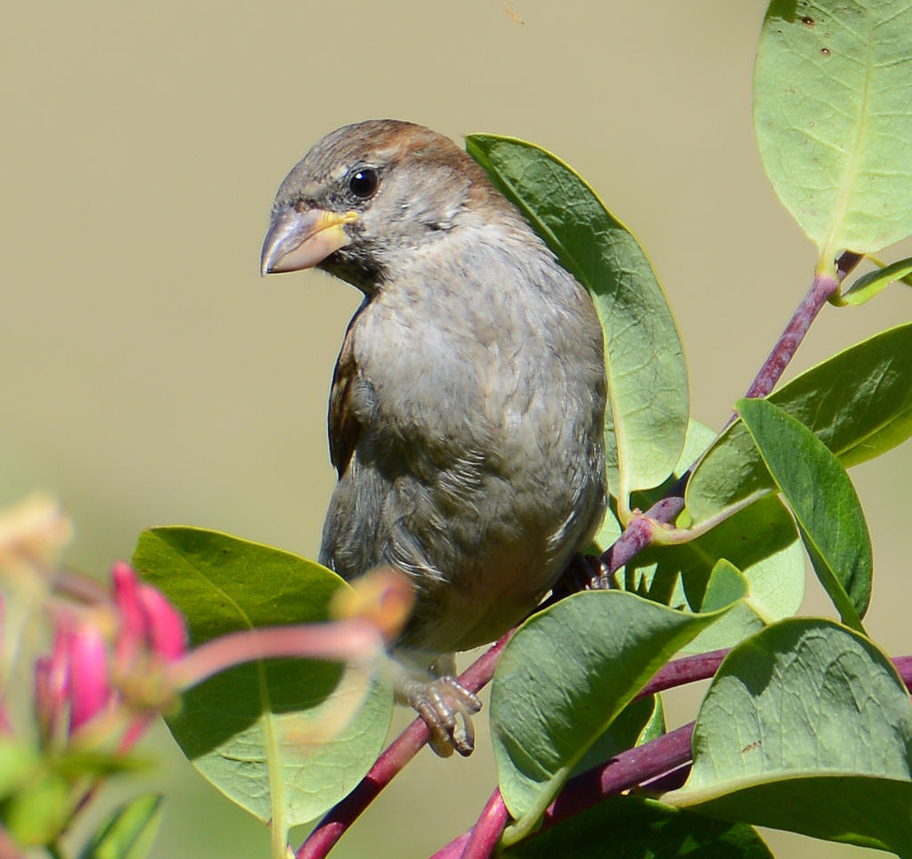 DSC_0104-2.jpg