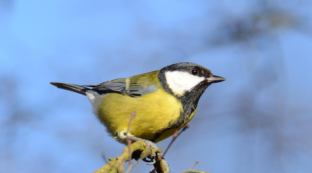 DSC_0104.jpg
