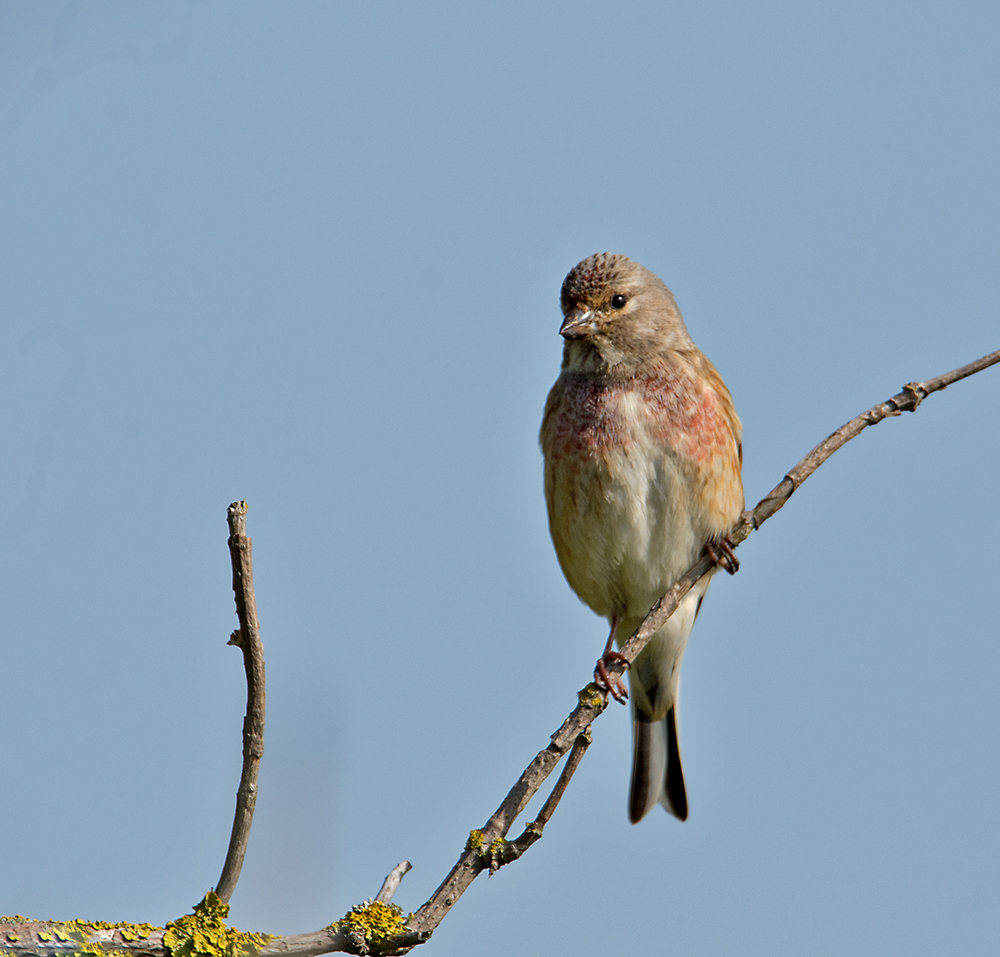 DSC_0107.jpg