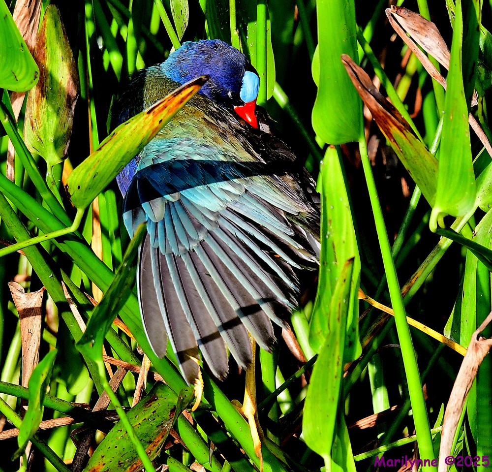 DSC_0108_001.JPG