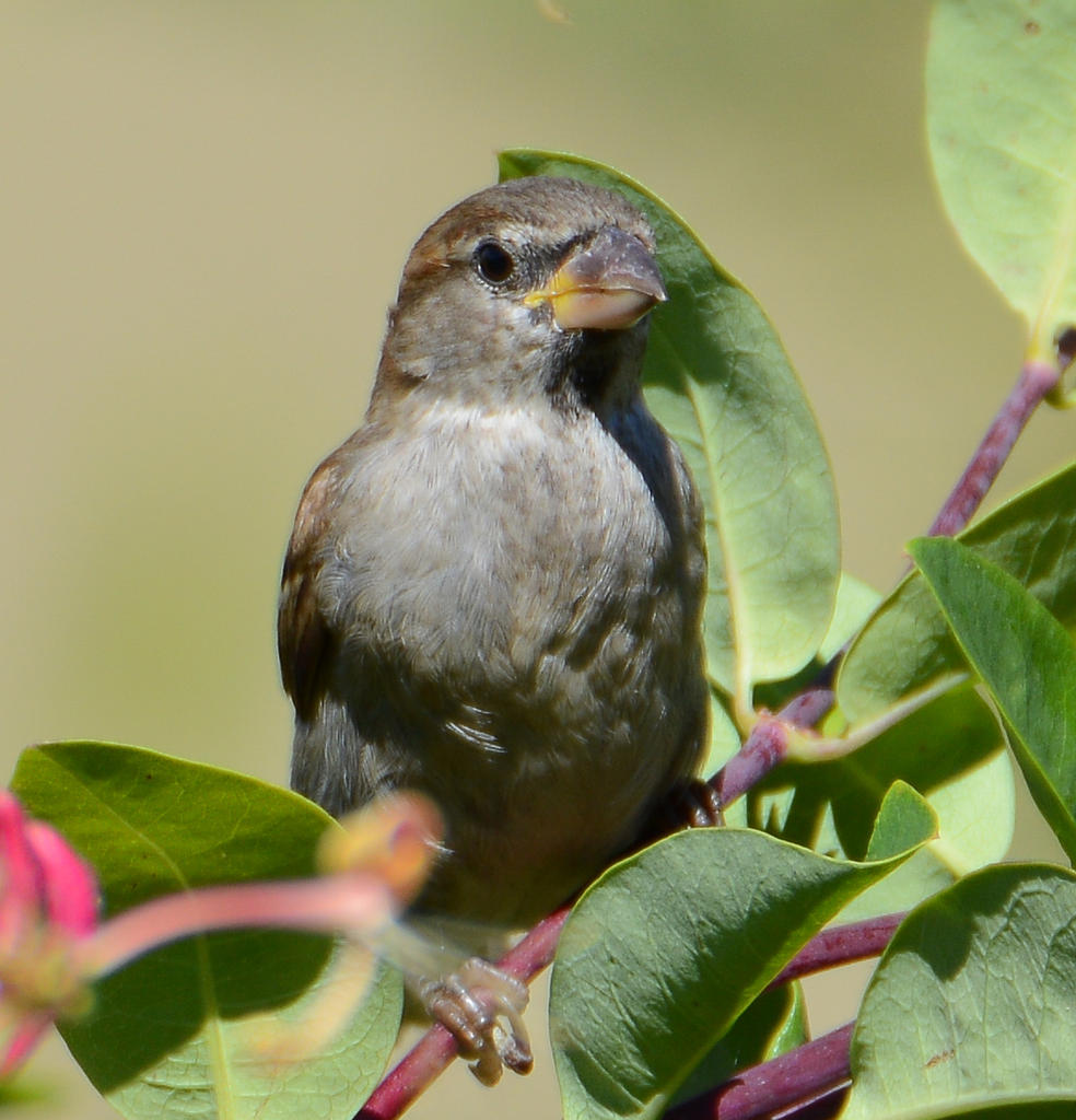 DSC_0110-2.jpg