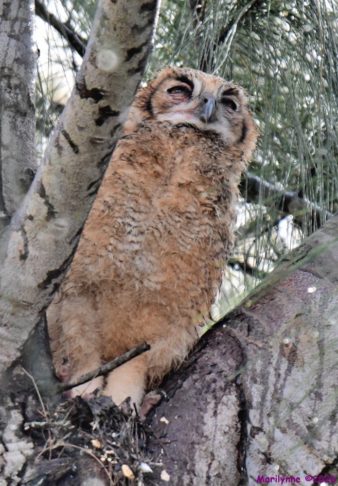 DSC_0114_001.JPG