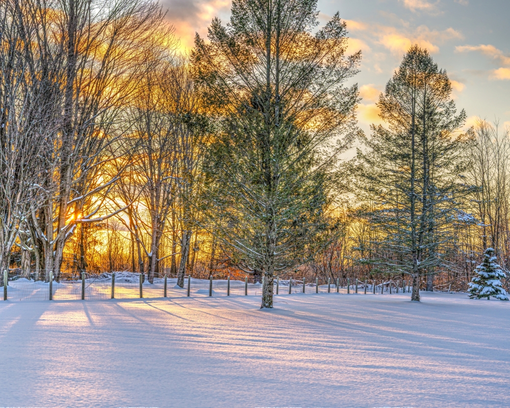 DSC_0116-2_tonemapped_01_01.JPG
