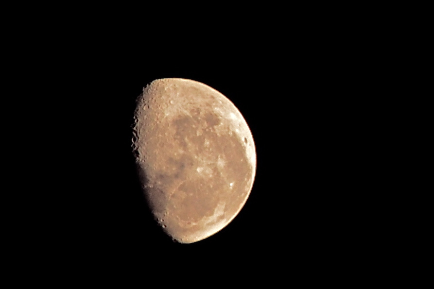 DSC_0116.jpg