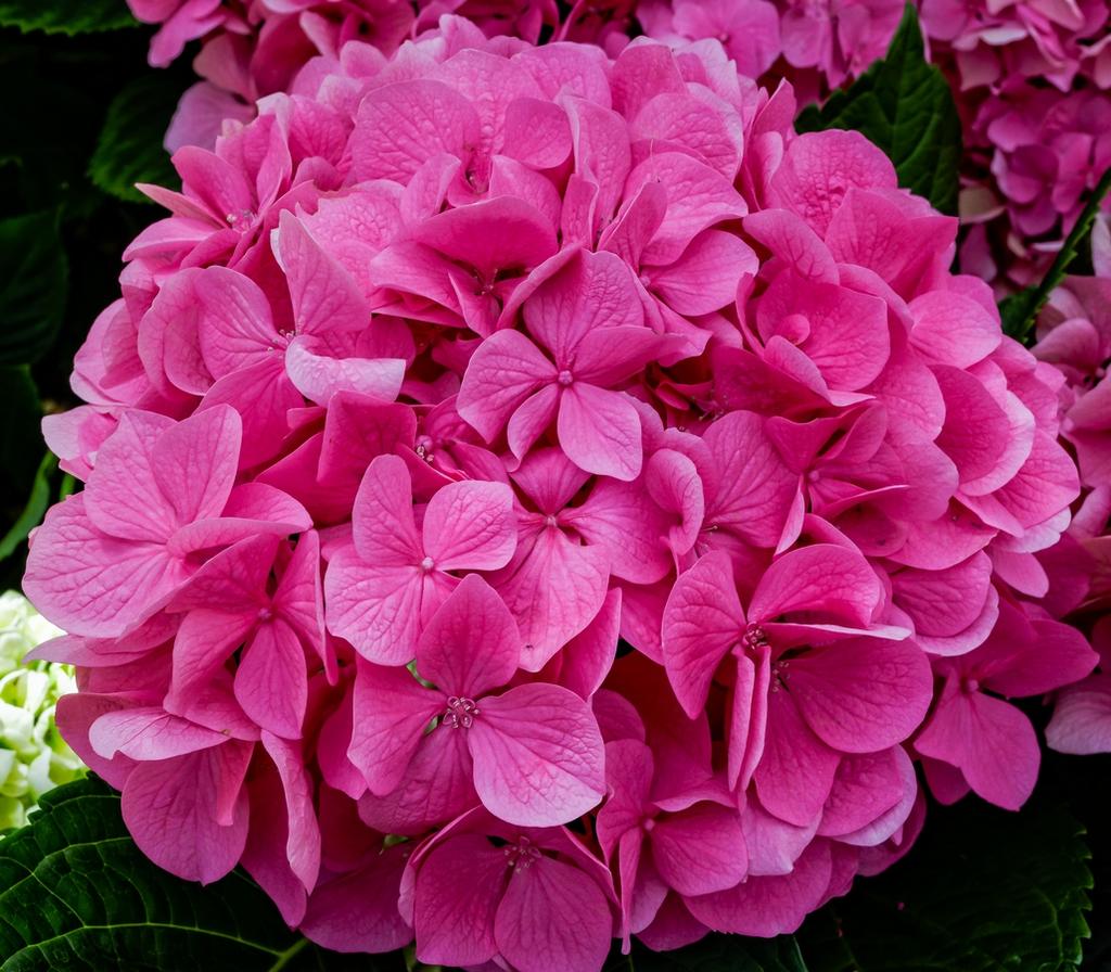 DSC_0116_DxO.jpg