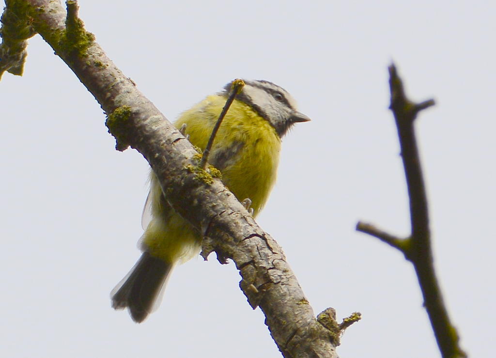 DSC_0117.jpg