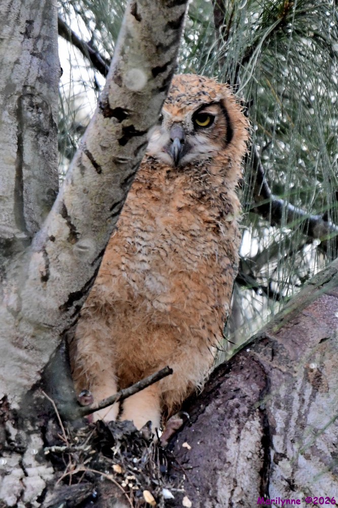 DSC_0117_001.JPG